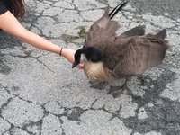 20180812_072730.jpg