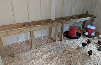 IMG_20180426_191511.jpg
