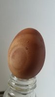 20180812_151442.jpg