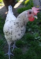 20180812_141415.jpg