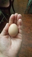20180812_095652.jpg