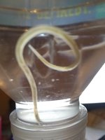 IMG_20180813_002518781.jpg