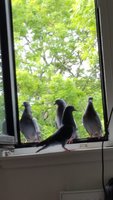 20180626_162819.jpg