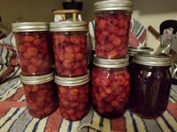 2018 CherryPieFilling_1.jpg