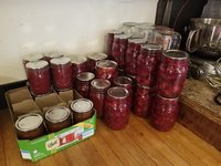 2018_Cherries_2.jpg