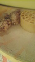 20180813_174144.jpg