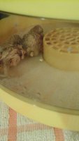 20180813_174132.jpg