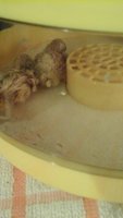 20180813_174130.jpg