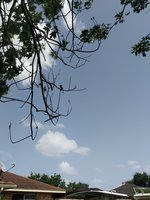 JPEG_20180813_154314_567284651125844598.jpg