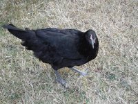 DSCF0479.jpg