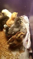 VideoCapture_20180814-000959.jpg VideoCapture_20180814-000959.jpg