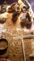 VideoCapture_20180814-001056.jpg VideoCapture_20180814-001056.jpg