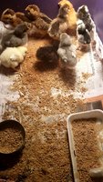 VideoCapture_20180814-001114.jpg VideoCapture_20180814-001114.jpg