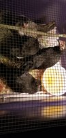 20180810_192651.jpg 20180810_192651.jpg