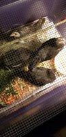 20180810_192633.jpg 20180810_192633.jpg