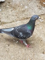 20180724_150345.jpg