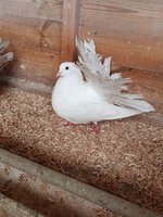 20180306_155822.jpg