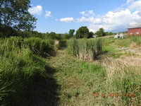 DSCN1121.JPG DSCN1121.JPG