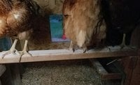 20180708_204700_kindlephoto-3802252.jpg