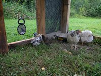 IMG_20180814_171830775.jpg