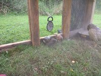 IMG_20180814_171844984.jpg