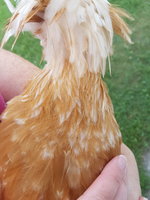 20180814_185846.jpg