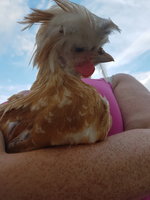 20180814_185803.jpg