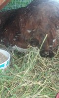 20180815_184032.jpg