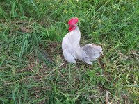 20180815_170428.jpg