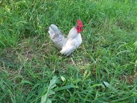 20180815_170412.jpg