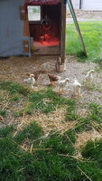 20180606_134502.jpg
