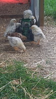 20180606_152221.jpg