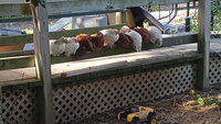 20180626_073903.jpg