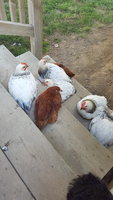 20180709_085018.jpg