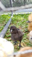 20180816_102849.jpg