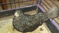 20180816_170651.jpg