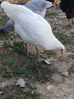20180816_082333.jpg