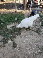 20180816_082238.jpg