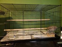 20180816_104507.jpg