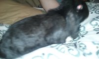 20180816_213523.jpg
