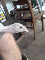 20180816_183243.jpg