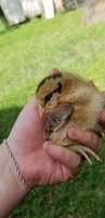 20180814_165011.jpg