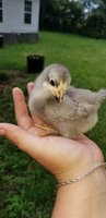 20180817_182230.jpg