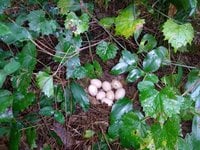 IMG_20180818_162505201.jpg
