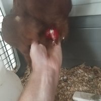 20180818_185300.jpg