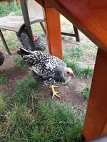 20180819_140200.jpg