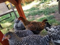 20180819_151454.jpg