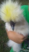 20180819_171636.jpg