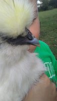 20180819_171643.jpg
