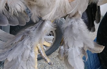 20180819_084050.jpg